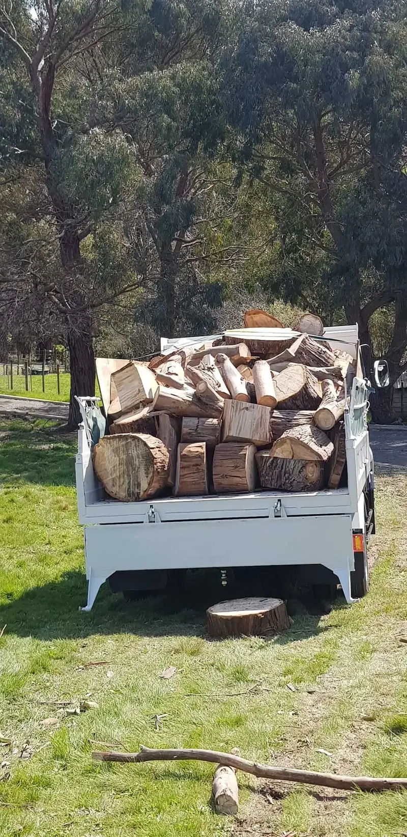 R&J Tree Services project