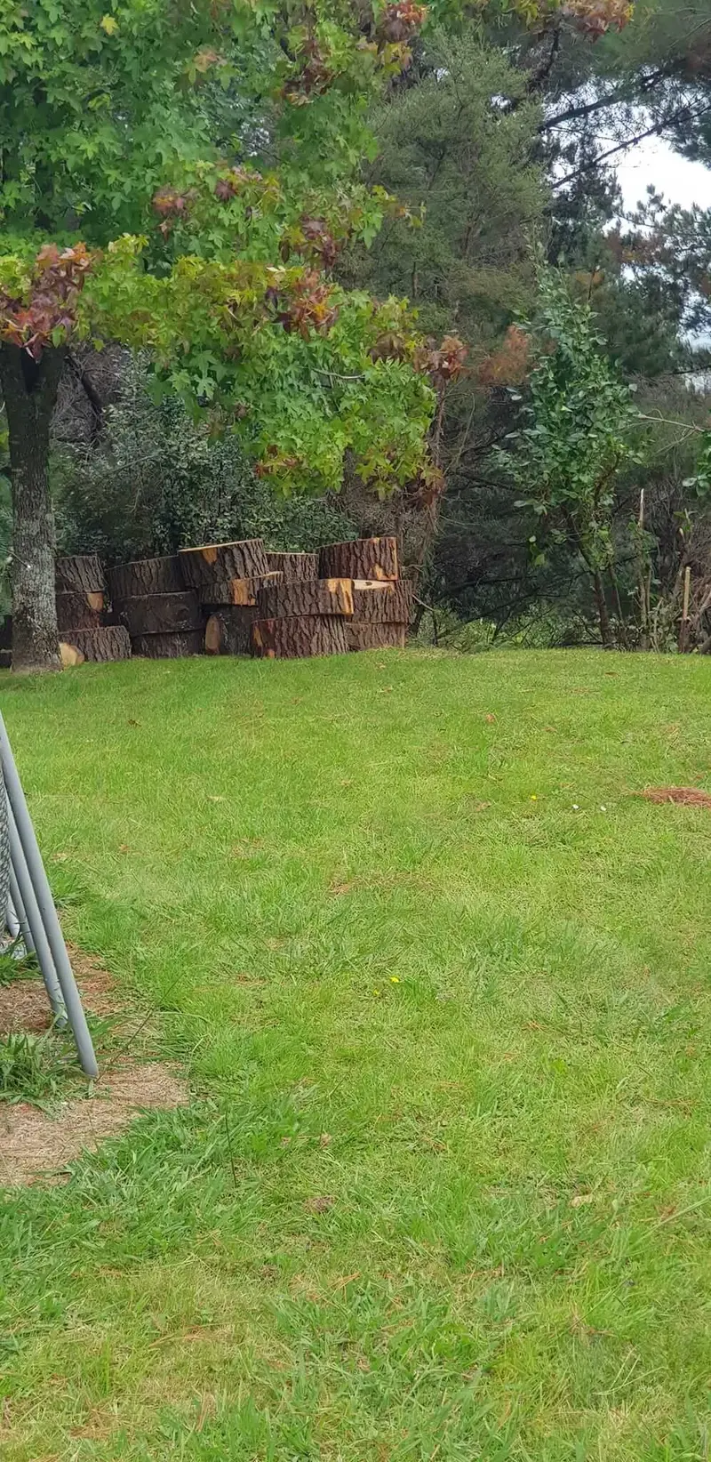 R&J Tree Services project