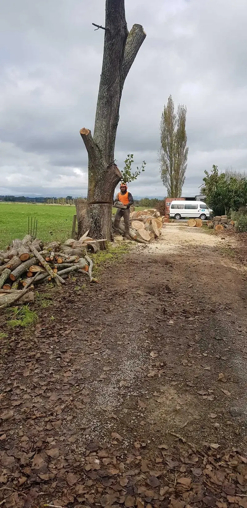R&J Tree Services project