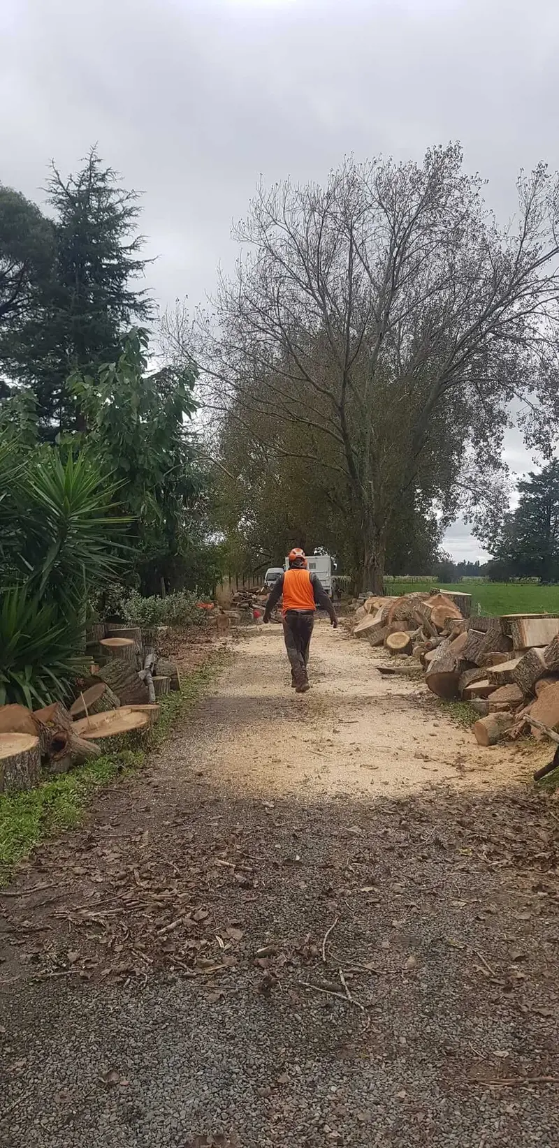 R&J Tree Services project