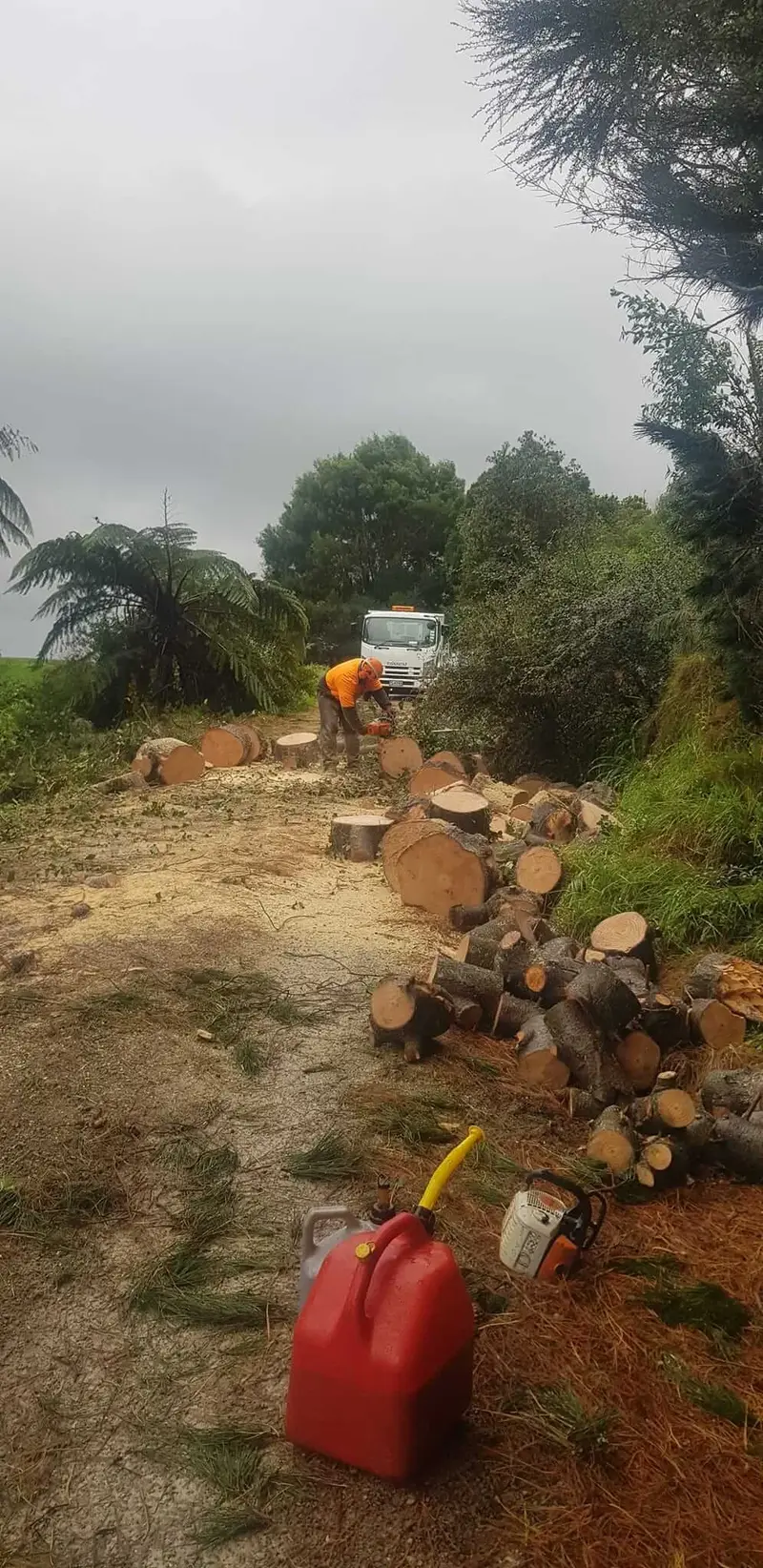 R&J Tree Services project