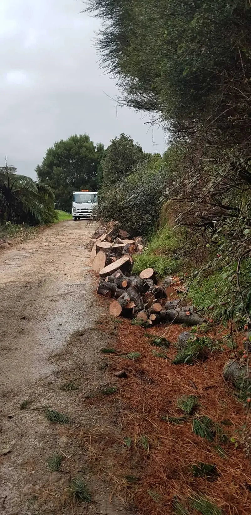 R&J Tree Services project
